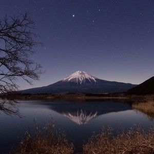 Meet your Posher, Jacob